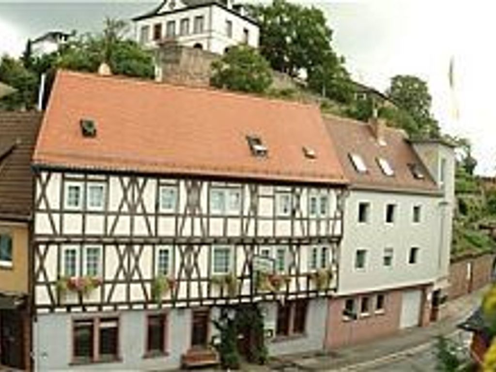 Goldener Karpfen