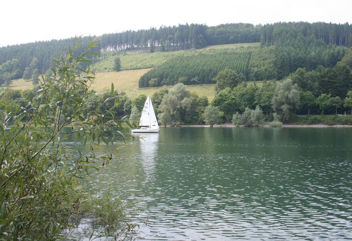 Bild 8