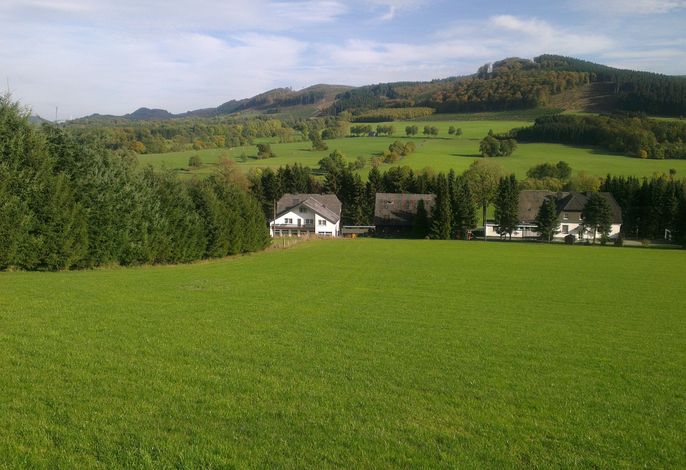 Bild 12