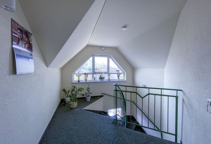 Bild 24