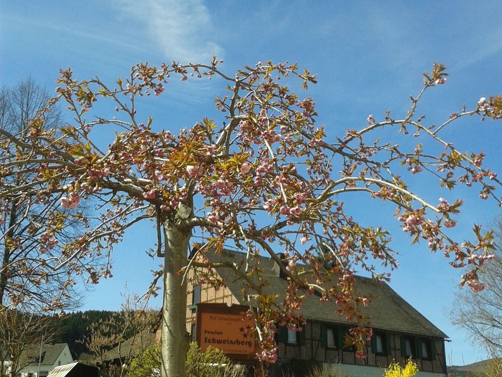 Pension Schweinsberg