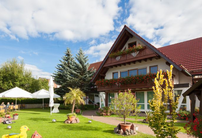 Bild 8