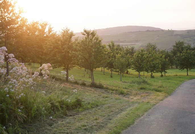 Bild 13
