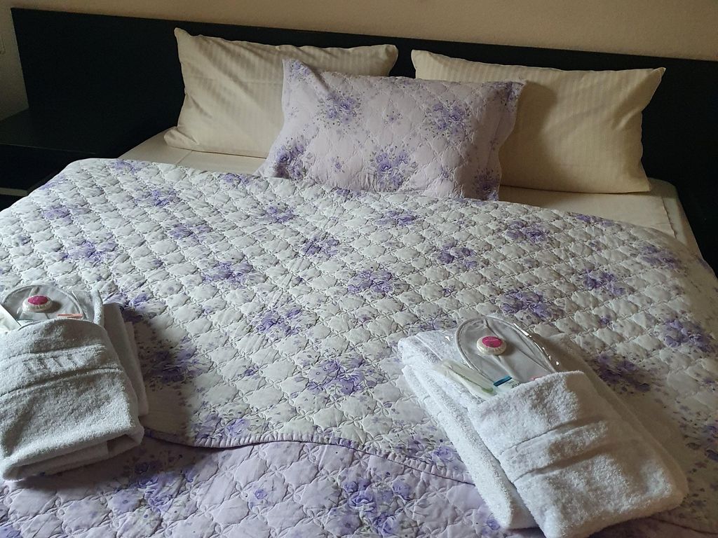 Hotel Vi-Vintage