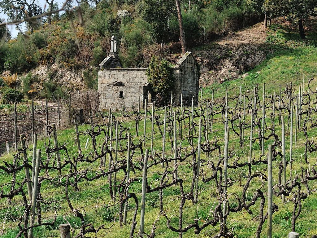 Quinta de Lourosa