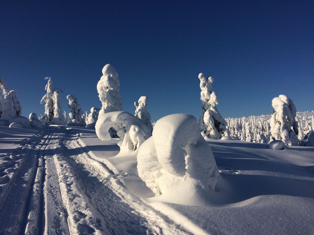 Holiday Club Kuusamon Tropiikki Spa Hotel