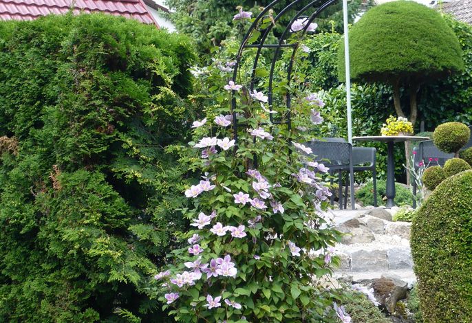 Bild 31