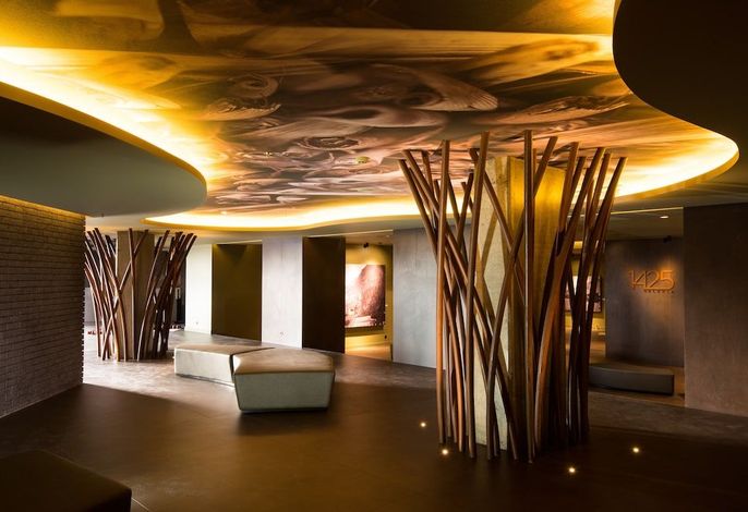 Bild 44