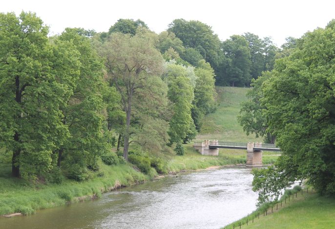 Bild 15