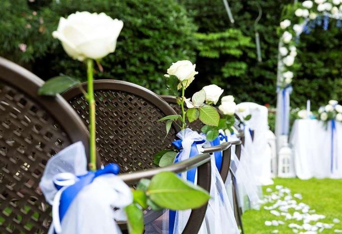 Bild 553