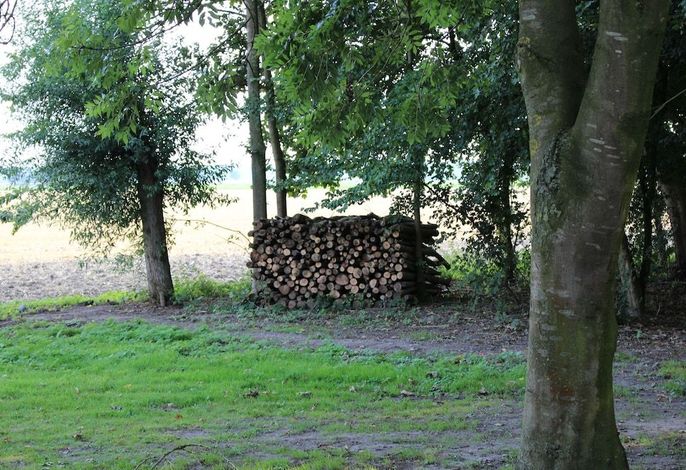 Bild 13