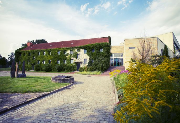 Bild 22