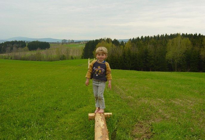 Bild 17
