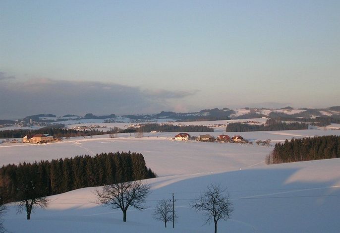 Bild 14