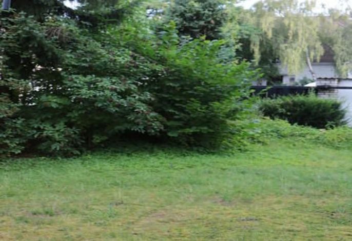 Bild 36