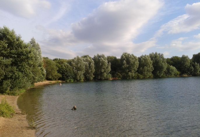 Bild 14