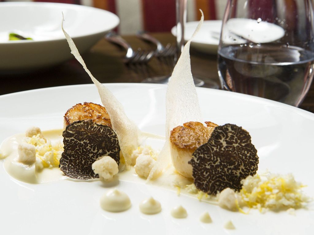 The Gore