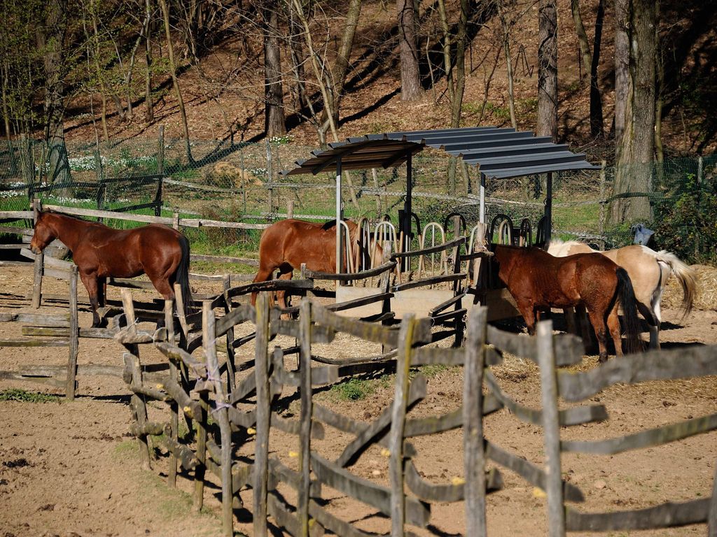 Cascina del Poggio Agriturismo