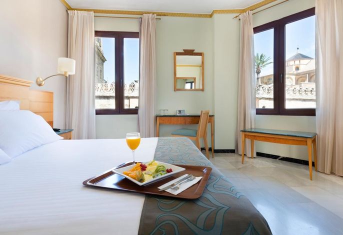 EUROSTARS MAIMONIDES