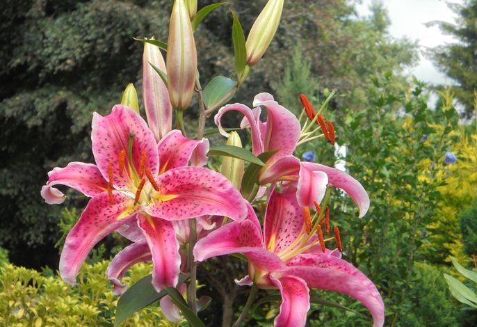 Bild 23