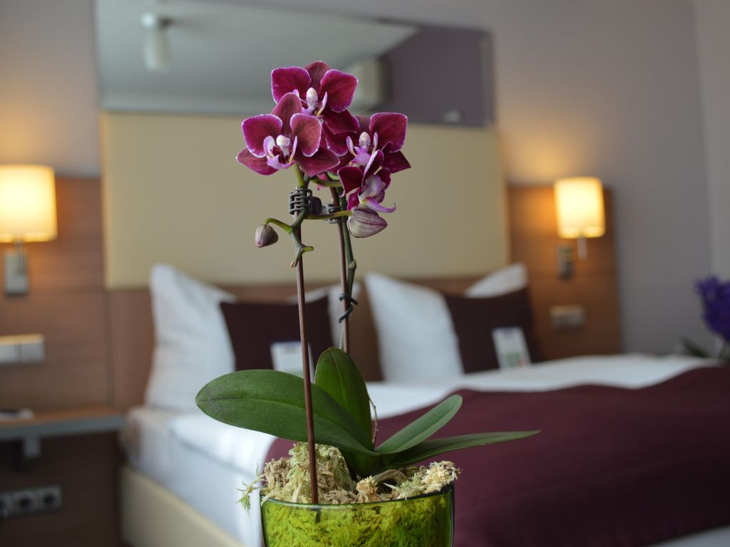 Hotel Scala Frankfurt City Centre