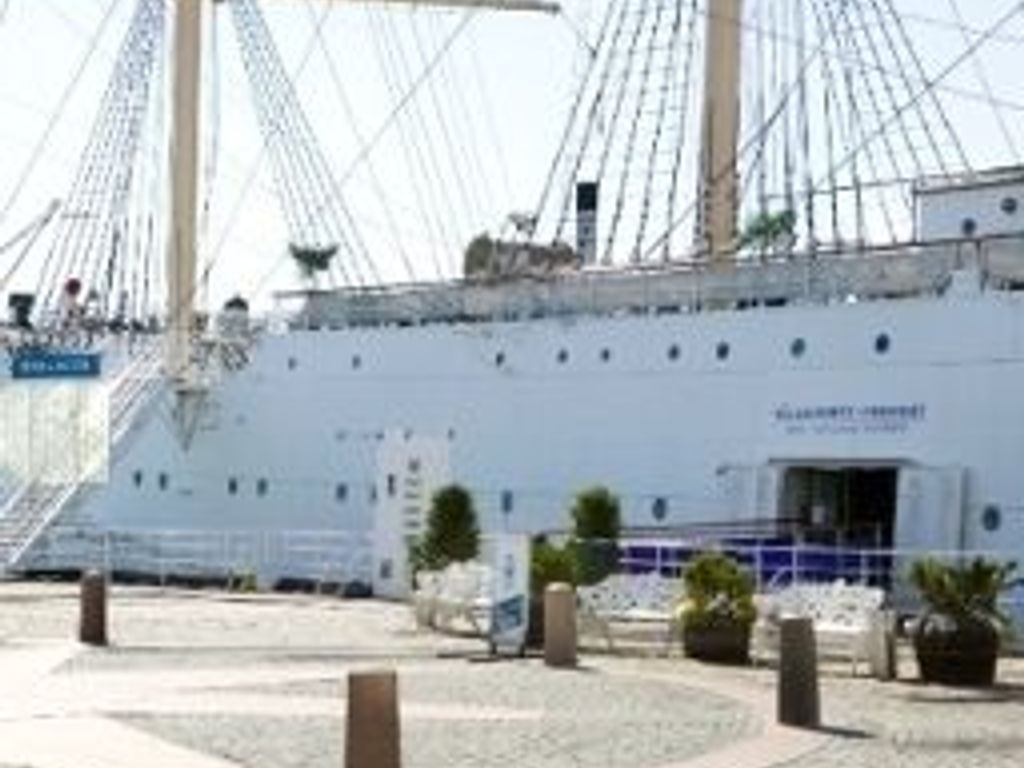 Barken Viking