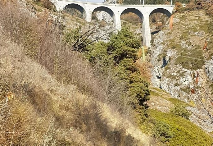 Bild 16
