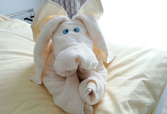 Bild 45