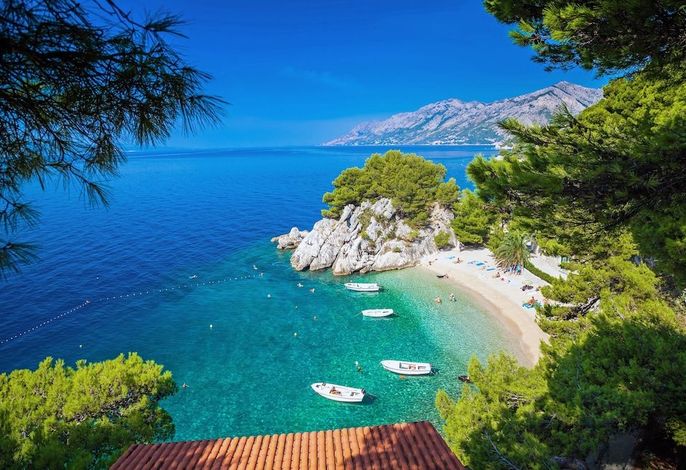 Bild 69