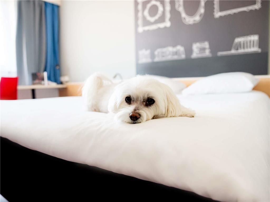 ibis Poznan Stare Miasto