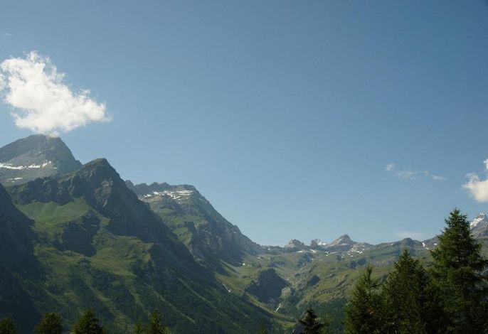 Bild 39
