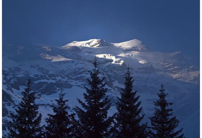 Bild 54