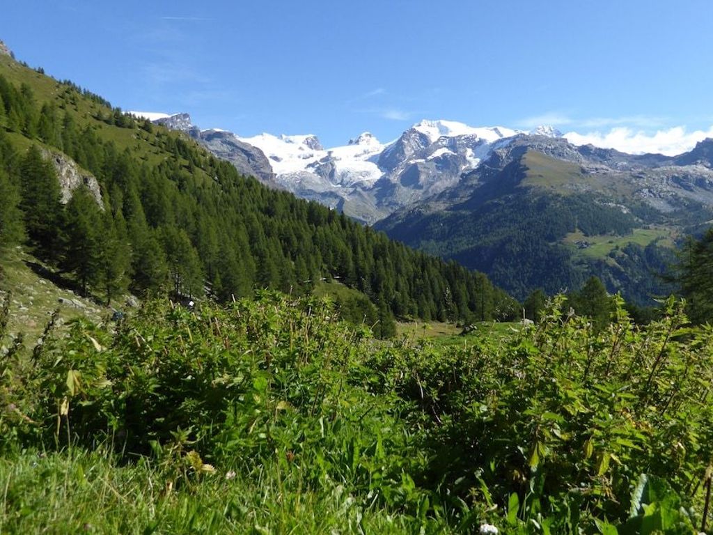 Le Chalet