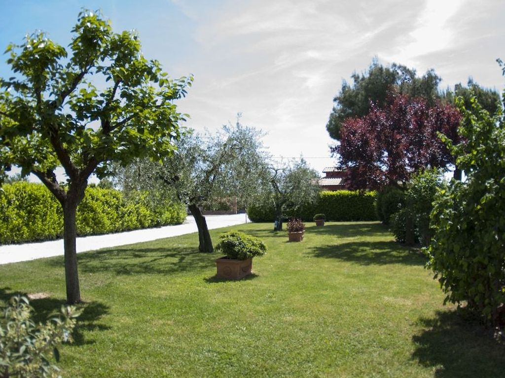 Rosa di Assisi