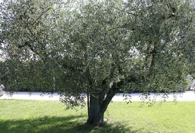 Bild 59