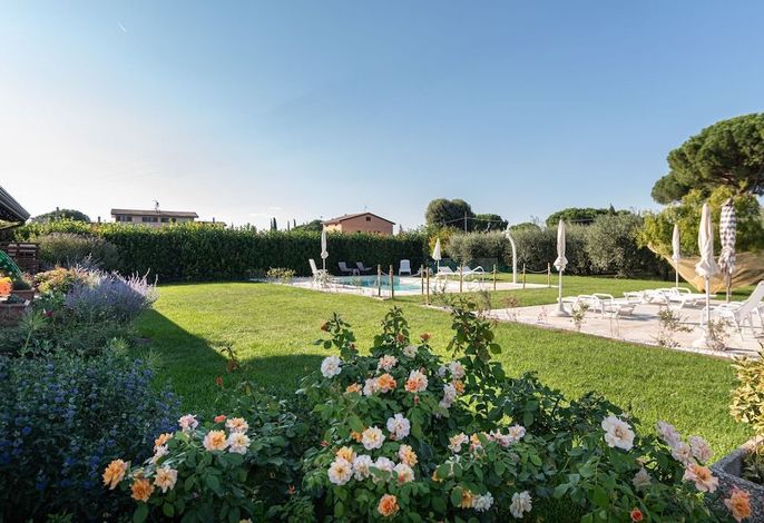 Rosa di Assisi