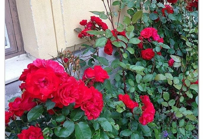 Bild 17