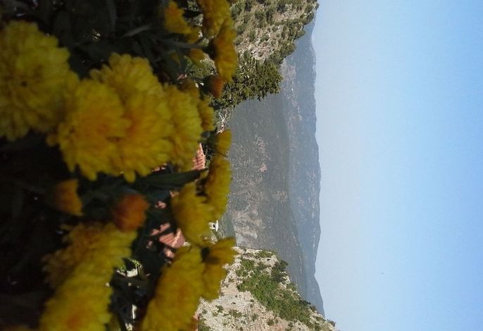 Bild 19