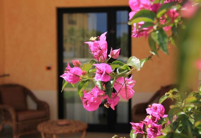 Bild 81