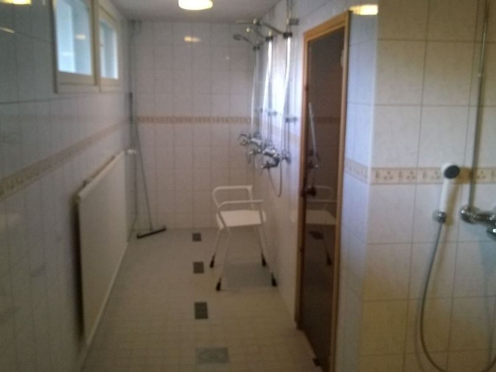 Koivukankare