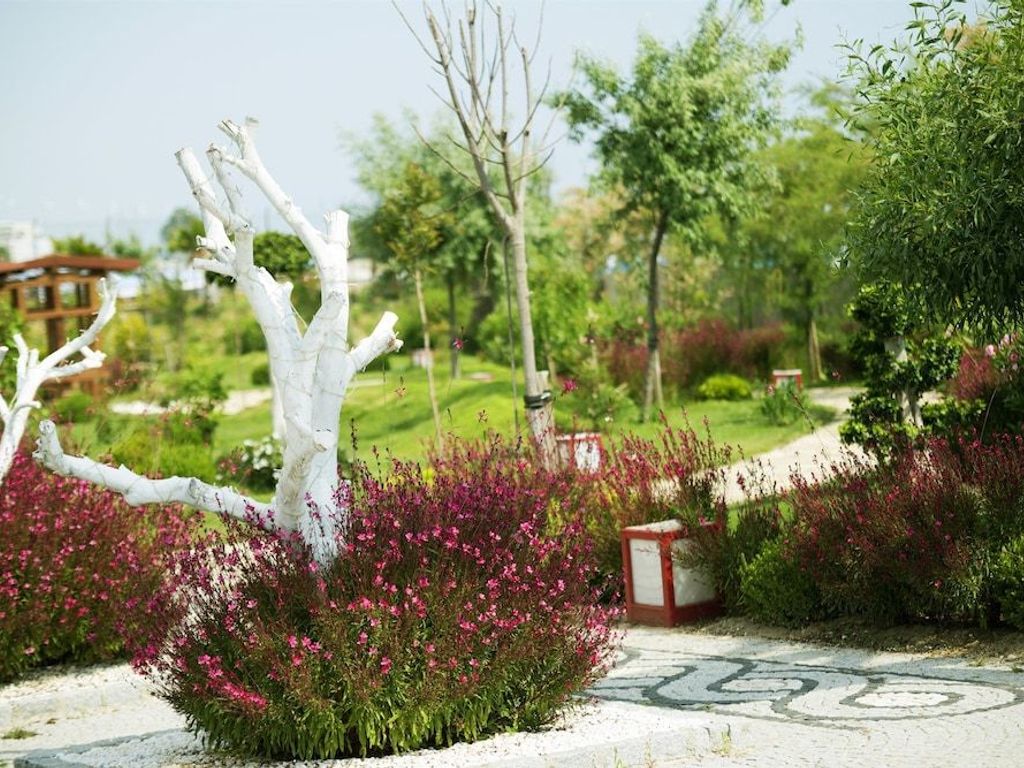 Flora Garden Beach Club - All inclusive