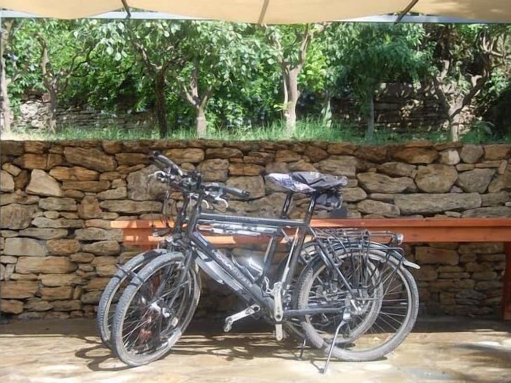 Gli Aranci