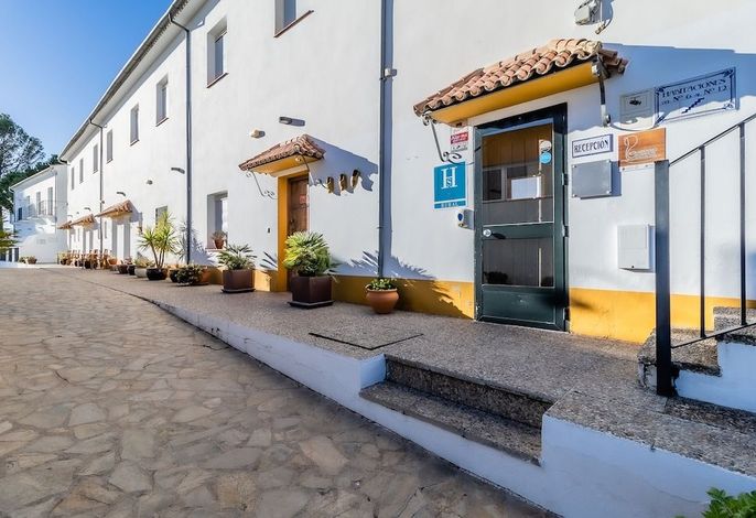 Bild 63