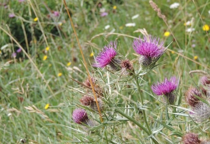 Bild 57