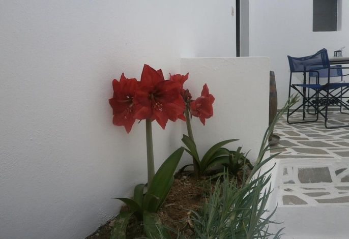 Bild 32