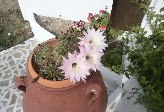 Bild 36
