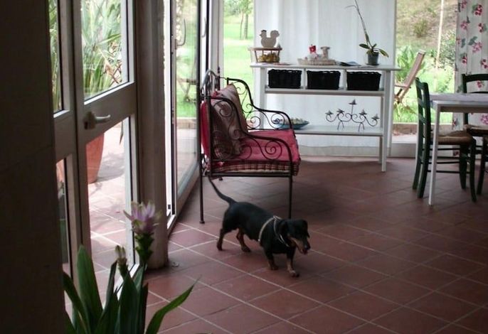 Bild 13