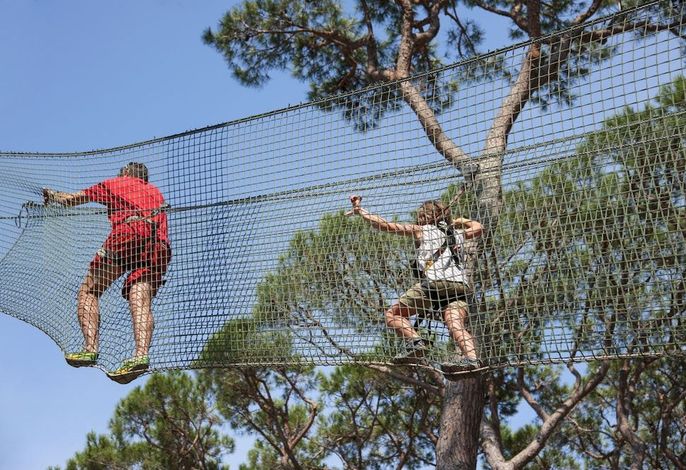 Bild 100