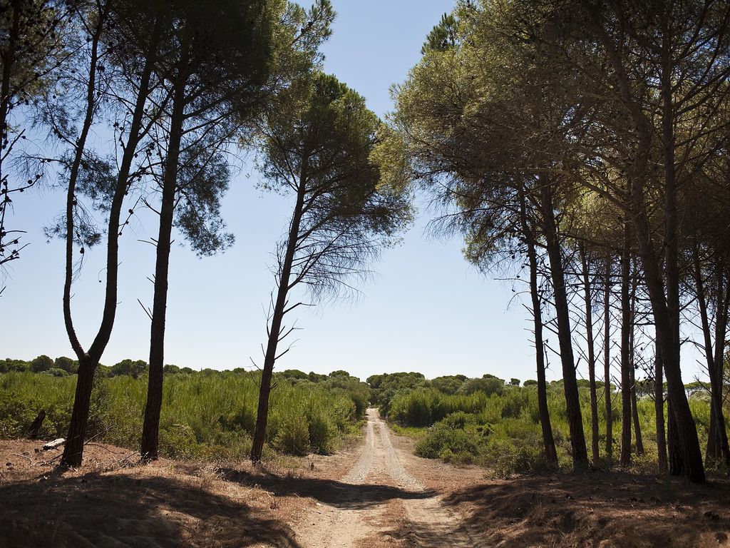 Masseria Macchia & Relais San Pio