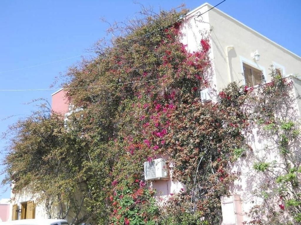 Palladion Hotel